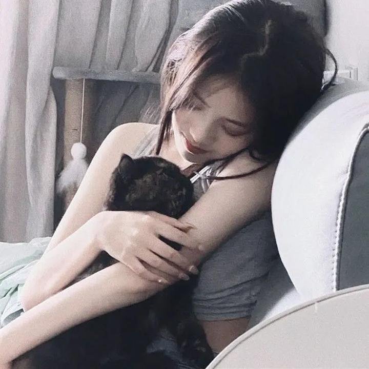 一条叫王子的狗